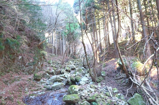 三峰山への登山道雰囲気の様子