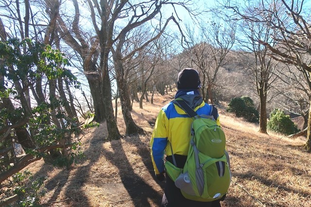 大山初詣登山に来た北海道の登山者