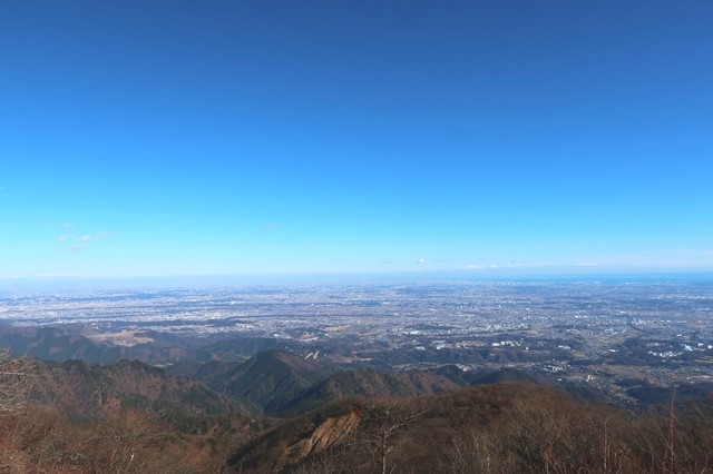 大山からスカイツリーの景色も見えた