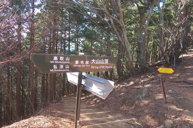 大山蓑毛越ルート分岐
