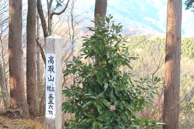 高取山山頂