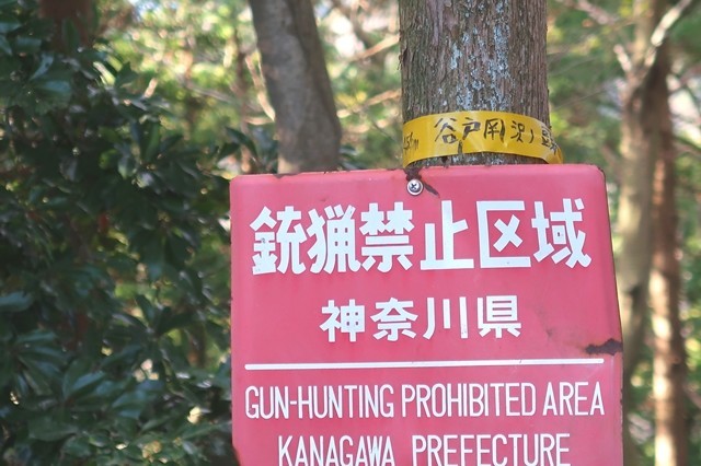 谷戸用沢ノ頭山頂