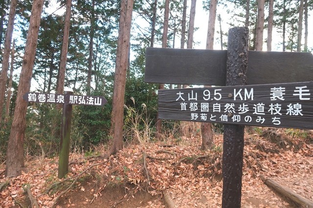 大山・鶴巻温泉駅への分岐