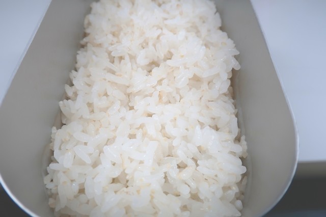ダイソーメスティンを使って０．５合炊飯して出来上がった状態