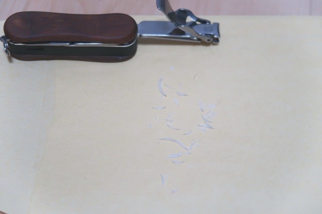 ビクトリノックスの爪切りの性能が良く綺麗に切れた爪の残骸