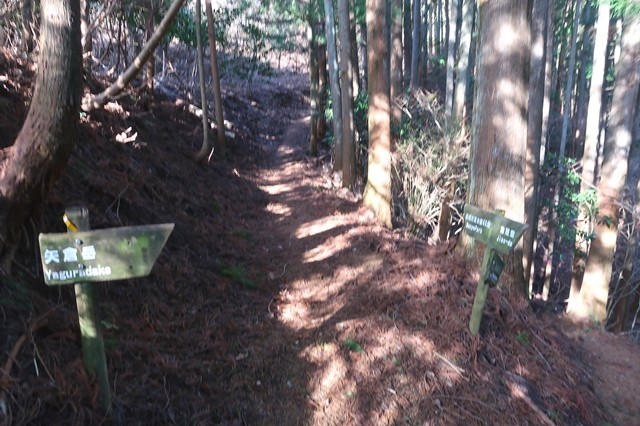 万葉公園と矢倉沢ルートの分岐