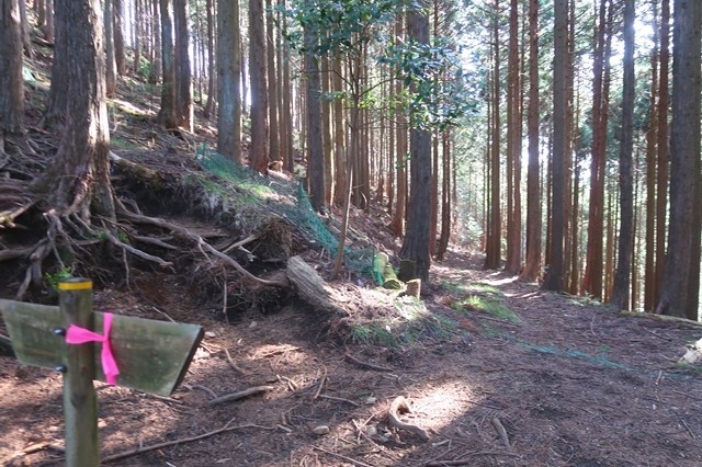 矢倉沢ルートの方向と周辺の様子