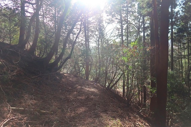 矢倉沢コース人が歩いた形跡がない