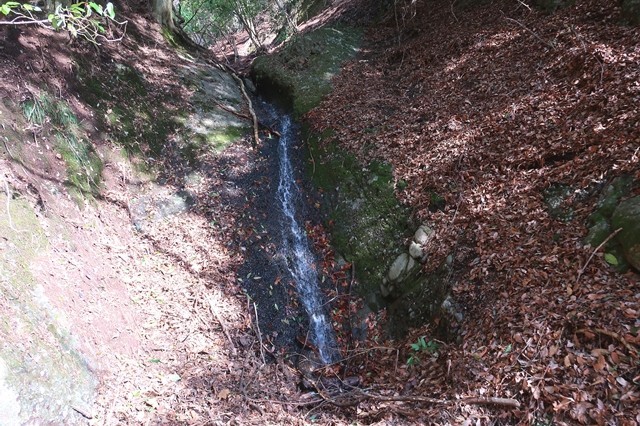 矢倉沢ルート癒しのコース