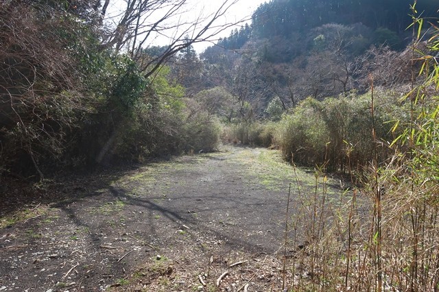 矢倉沢林道の終点