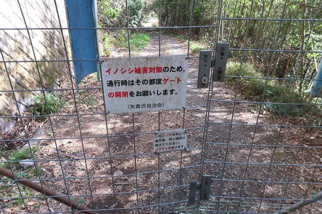 矢倉沢林道の終点ゲート