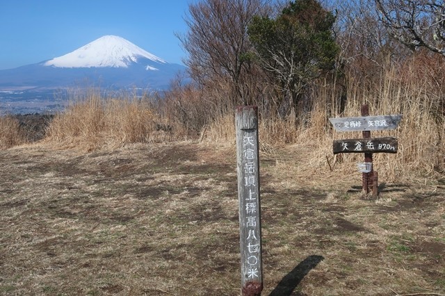 矢倉岳山頂