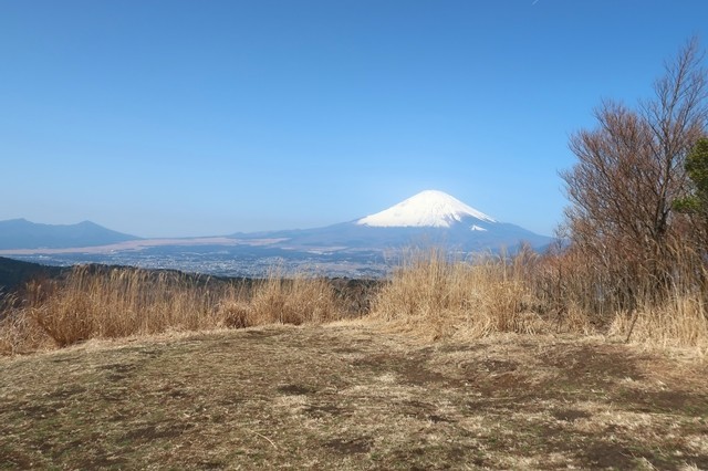 矢倉岳から見る富士山