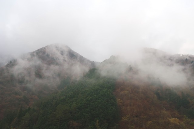 ヨモギ尾根から雲取山登山中の景色