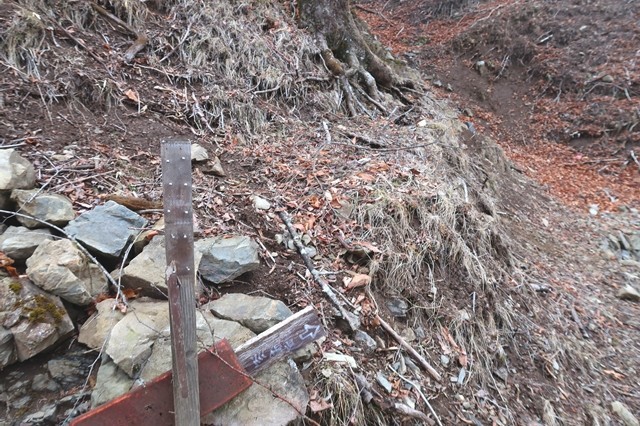 ヨモギ尾根(鉢焼場尾根)登山は終了地点