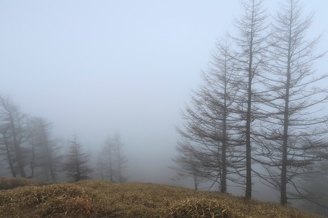 雲取山登山ルートの様子