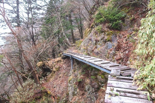 飛龍山登山道の様子