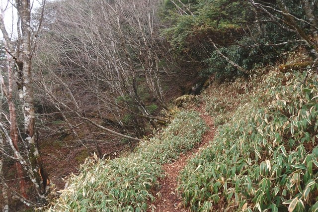 飛龍山と奥秩父主脈縦走路の様子