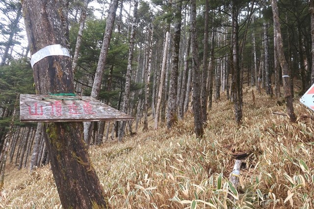 >雲取山から飛龍山近道分岐地点