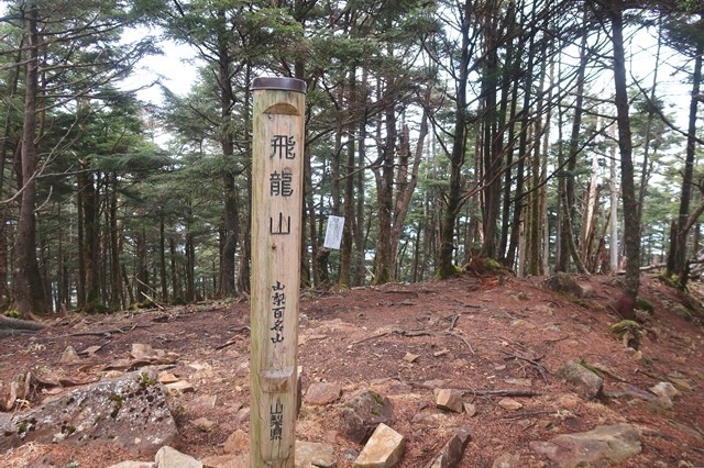 飛龍山山頂の様子