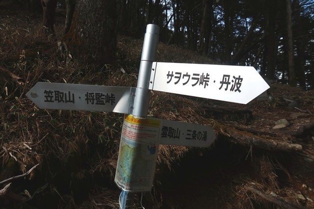 飛龍山・前飛龍山・禿岩方面分岐