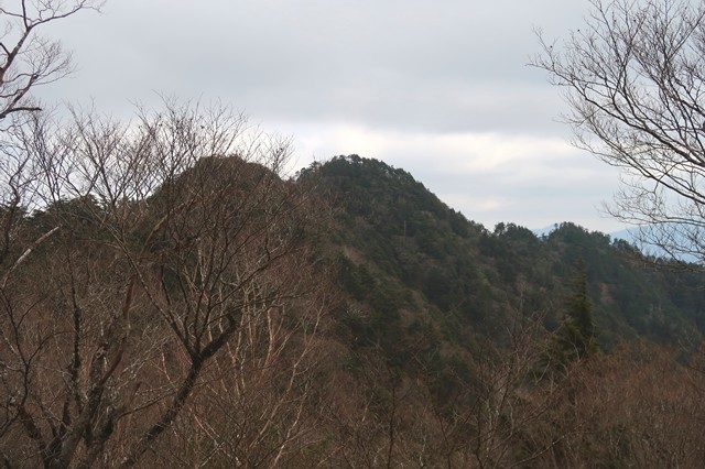 前飛龍山を遠望