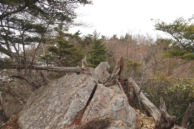 前飛龍山の山頂