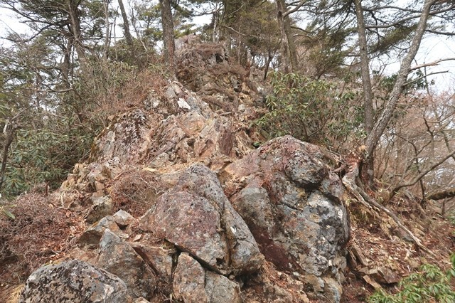 岩岳尾根を振り返った写真