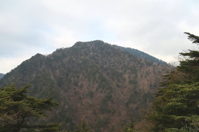 岩岳尾根から見る飛龍山景色