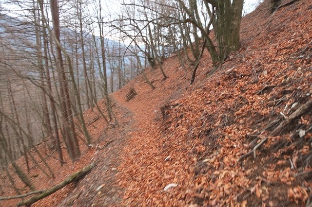 岩岳尾根歩き登山ルートの詳細