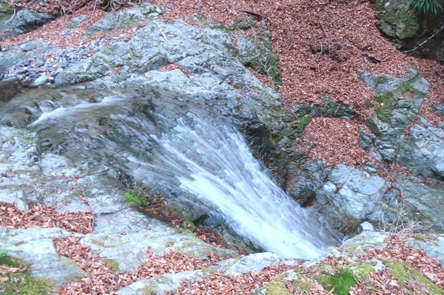 岩岳尾根の小常木谷沢