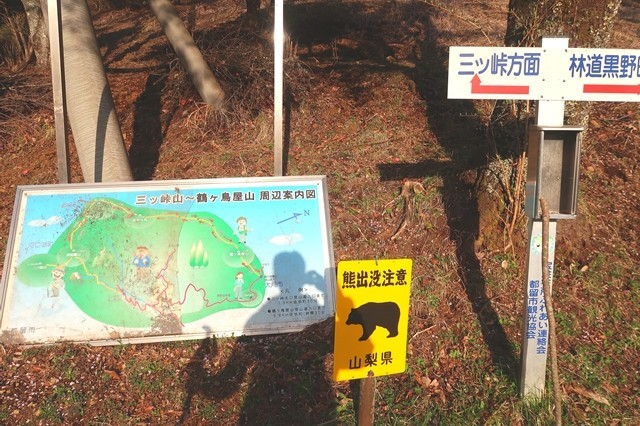 三つ峠北口登山道ツキノワグマの生息域