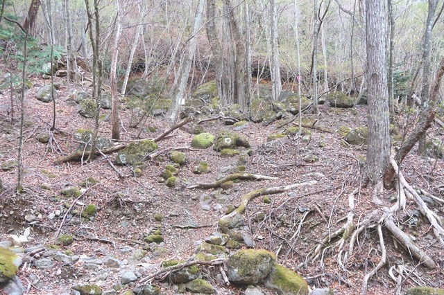 三つ峠北口登山道踏み跡やマーキング