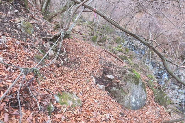 三つ峠北口登山道悪路