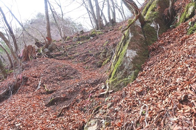 落ち葉で登山道の踏み跡が不明瞭