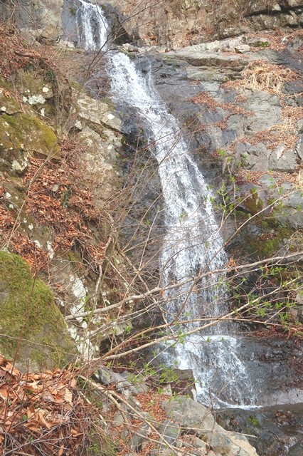 三つ峠北口登山道から初滝の景色