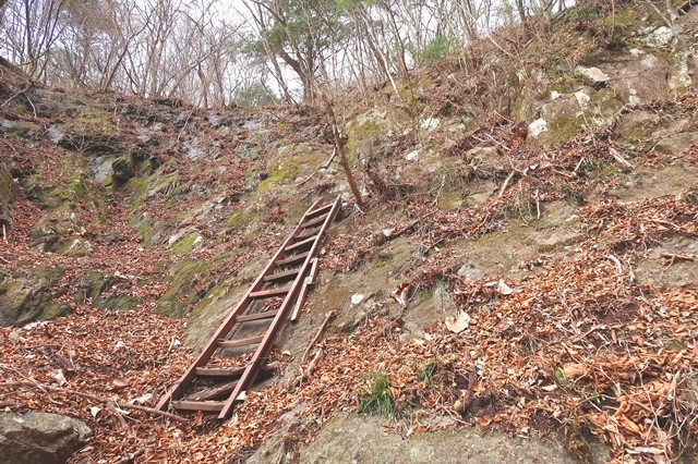 三つ峠北口登山道の梯子箇所