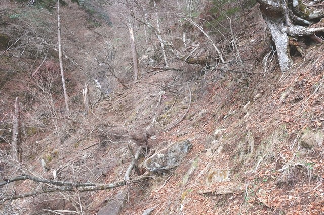 七福ノ滝から三つ峠北口登山道様子