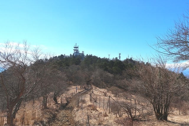 三ツ峠山最高峰であります開運山ルートの様子