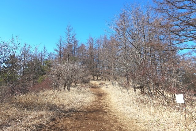 木無山までのルート様子