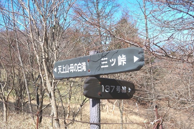 三ツ峠山登山口バス停方面（１３７号線）への分岐