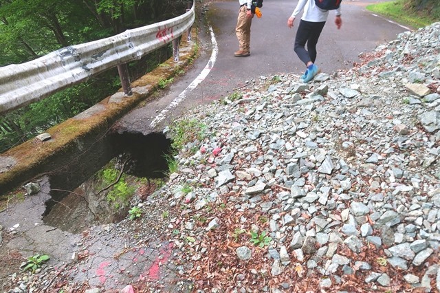神ノ川ヒュッテ周辺の林道の様子