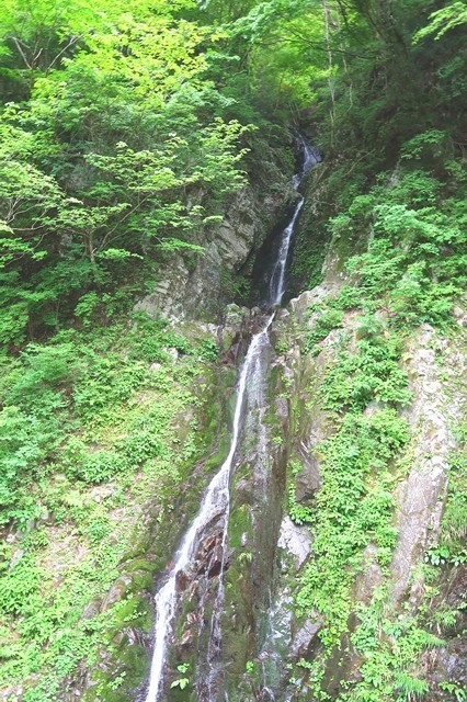 檜洞丸北尾根登山口の手前で見える滝