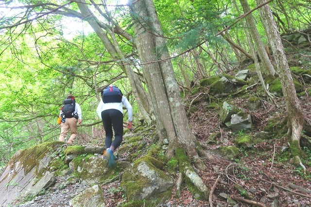 檜洞丸北尾根登山口