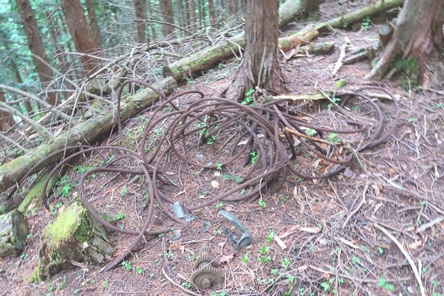 檜洞丸北尾根登山道の様子