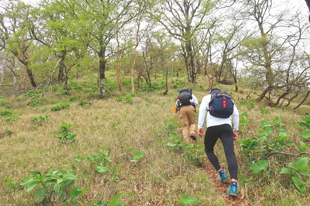 檜洞丸北尾根登山道のクライマックス部分
