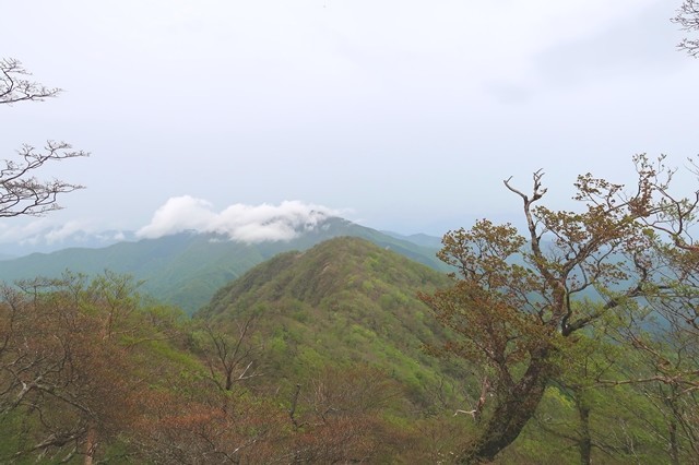 大室山方面の景色