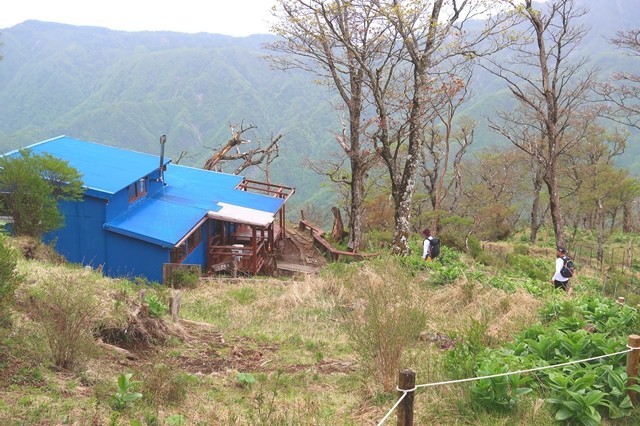 シロヤシオ咲く蛭ヶ岳登山開始