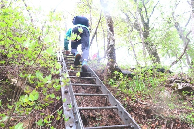 蛭ヶ岳までの登山道