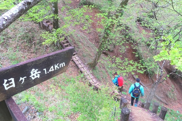 臼ヶ岳までの登山道